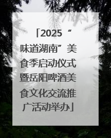 2025“味道湖南”美食季启动仪式暨岳阳啤酒美食文化交流推广活动举办