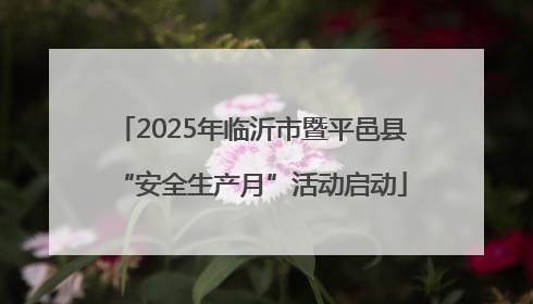 2025年临沂市暨平邑县“安全生产月”活动启动