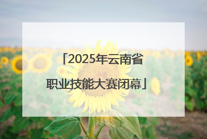 2025年云南省职业技能大赛闭幕