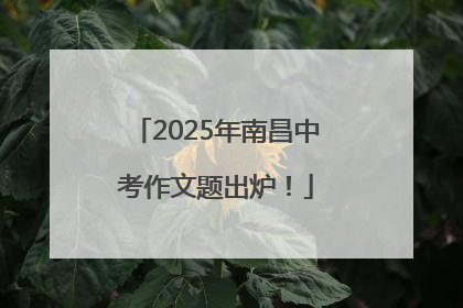 2025年南昌中考作文题出炉！
