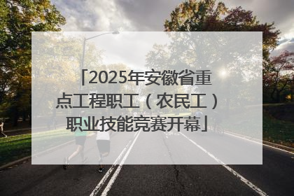 2025年安徽省重点工程职工（农民工）职业技能竞赛开幕