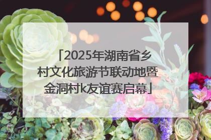 2025年湖南省乡村文化旅游节联动地暨金洞村k友谊赛启幕