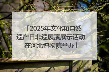 2025年文化和自然遗产日非遗展演展示活动在河北博物院举办