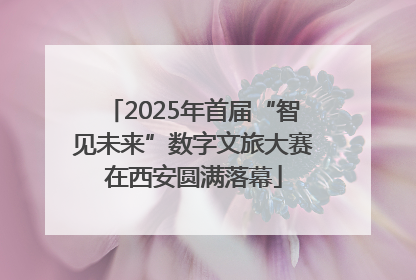 2025年首届“智见未来”数字文旅大赛在西安圆满落幕