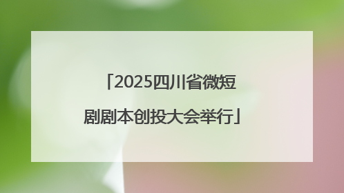2025四川省微短剧剧本创投大会举行
