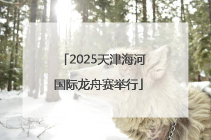 2025天津海河国际龙舟赛举行