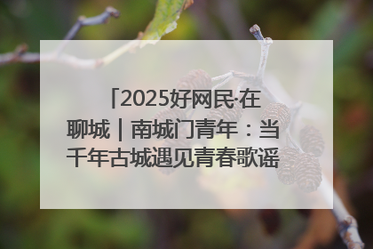 2025好网民·在聊城｜南城门青年：当千年古城遇见青春歌谣 一湖碧水见证的“聊城式浪漫”