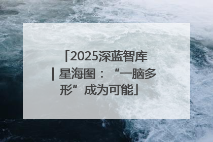 2025深蓝智库｜星海图：“一脑多形”成为可能