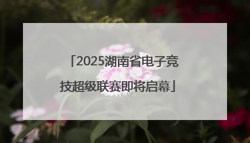 2025湖南省电子竞技超级联赛即将启幕
