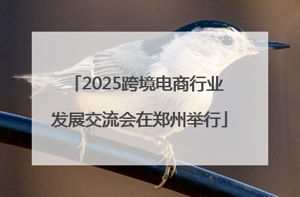2025跨境电商行业发展交流会在郑州举行