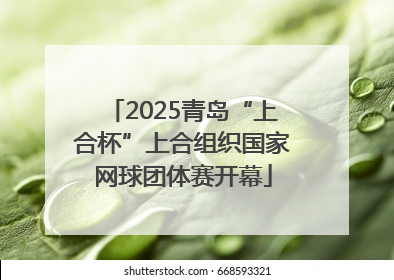 2025青岛“上合杯”上合组织国家网球团体赛开幕