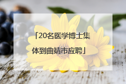 20名医学博士集体到曲靖市应聘