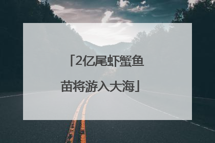 2亿尾虾蟹鱼苗将游入大海