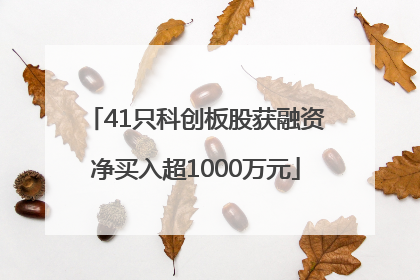 41只科创板股获融资净买入超1000万元