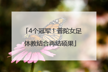 4个冠军！普陀女足体教结合再结硕果