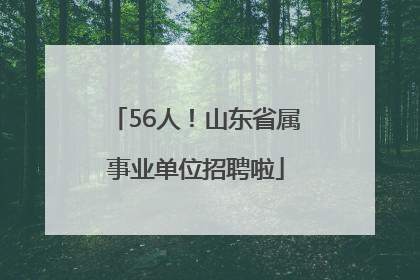56人！山东省属事业单位招聘啦