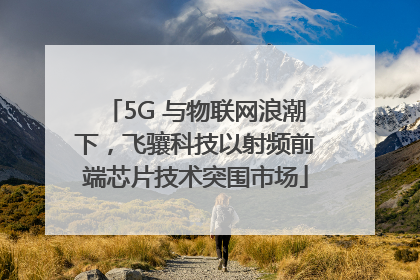 5G 与物联网浪潮下，飞骧科技以射频前端芯片技术突围市场