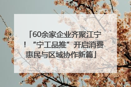 60余家企业齐聚江宁！“宁工品推”开启消费惠民与区域协作新篇