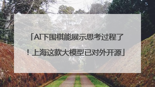 AI下围棋能展示思考过程了！上海这款大模型已对外开源