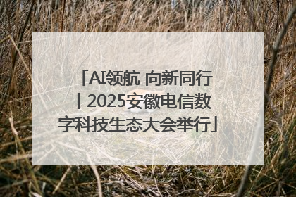 AI领航 向新同行丨2025安徽电信数字科技生态大会举行