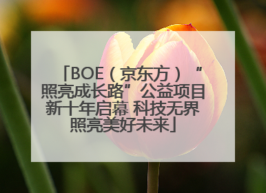BOE（京东方）“照亮成长路”公益项目新十年启幕 科技无界照亮美好未来