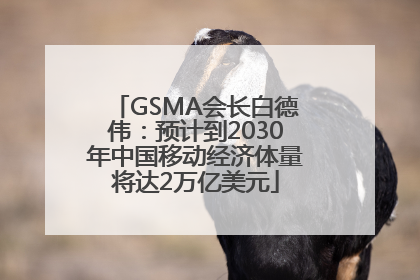 GSMA会长白德伟：预计到2030年中国移动经济体量将达2万亿美元
