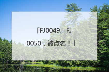 FJ0049、FJ0050，被点名！