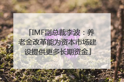 IMF副总裁李波：养老金改革能为资本市场建设提供更多长期资金