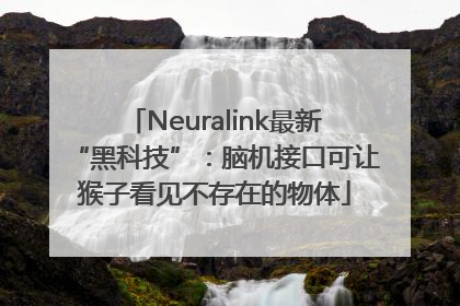 Neuralink最新“黑科技”：脑机接口可让猴子看见不存在的物体
