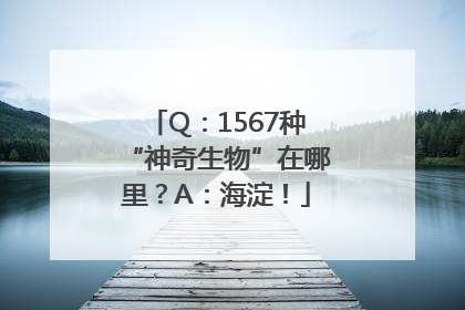 Q：1567种“神奇生物”在哪里？A：海淀！
