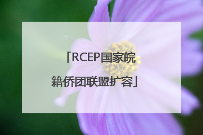 RCEP国家皖籍侨团联盟扩容