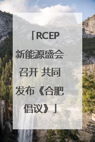 RCEP新能源盛会召开 共同发布《合肥倡议》